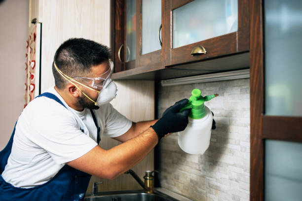 Best Pest Control Cost  in Los Alamos, CA