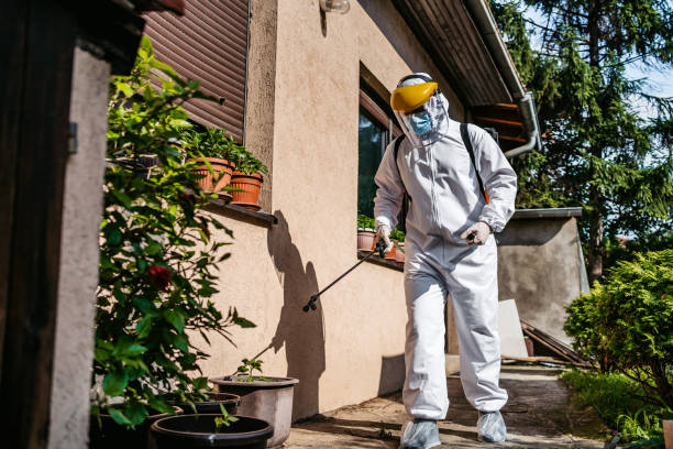 Best Wasp Removal Services  in Los Alamos, CA