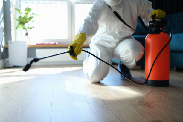 Best Insect Control  in Los Alamos, CA
