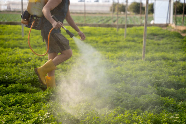 Best Wildlife Control Services  in Los Alamos, CA