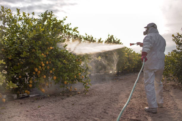Best Cockroach Control Services  in Los Alamos, CA