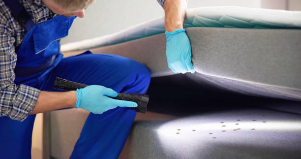 Best Affordable Pest Control Services  in Los Alamos, CA