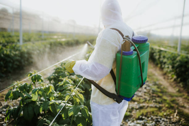 Best Best Pest Control Companies  in Los Alamos, CA
